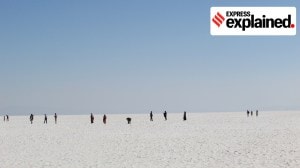 Sir Creek Border Dispute Explained: After Pakistan was defeated in the 1965 war, the Rann of Kutchh (and Sir Creek) border dispute went to a UN Tribunal.