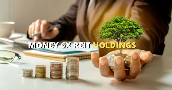 Money 6X REIT