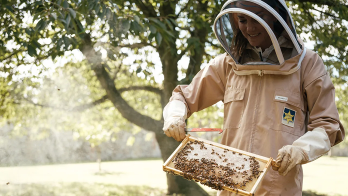 The Kate Middleton Beekeeping Hobby